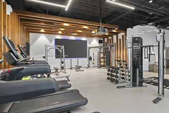 A gym with treadmills and weights and a tv on the wall